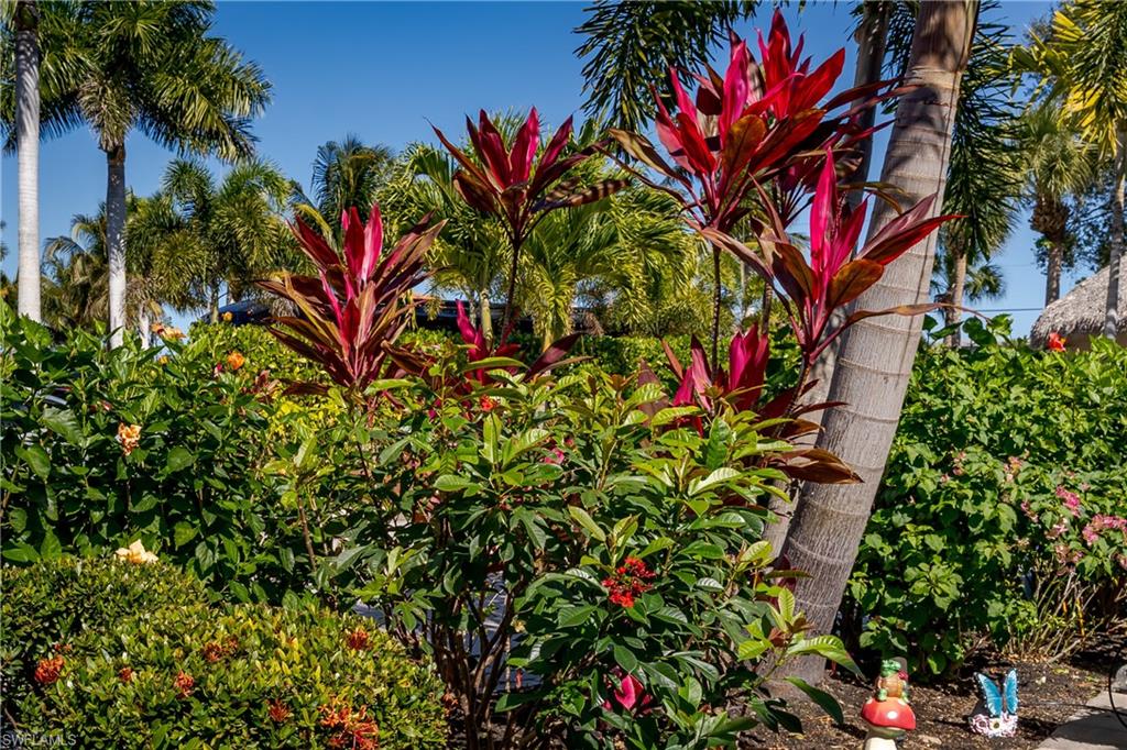 13583 Snook Circle Naples, FL 34114 - Photo 18 of 47