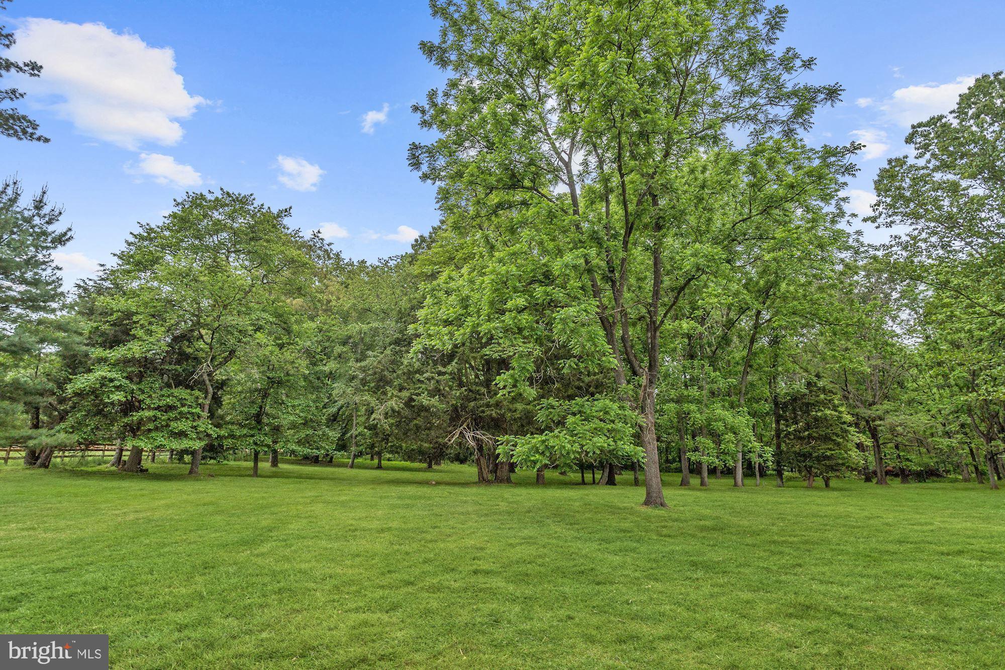 13915 Rover Mill Road West Friendship, MD 21794 - Photo 49 of 62 Private Lot | Backs to Trees