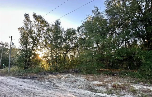 a view of a yard with a tree