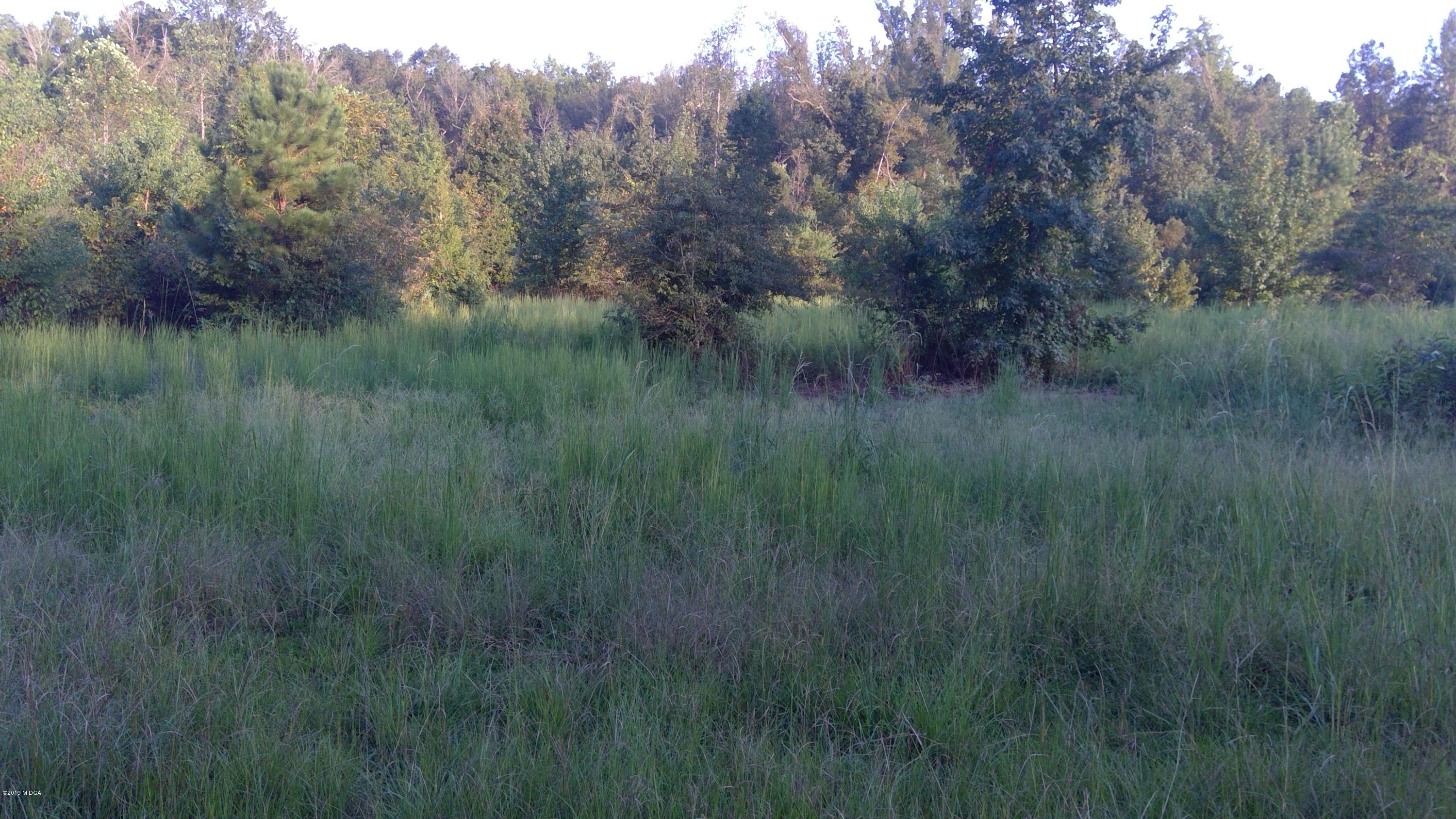 607 Bethlehem Church Road Gordon, GA 31031 - Photo 2 of 4 WIN_20190912_18_46_40_Pro