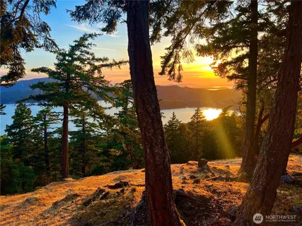 a view of a yard in the snow
