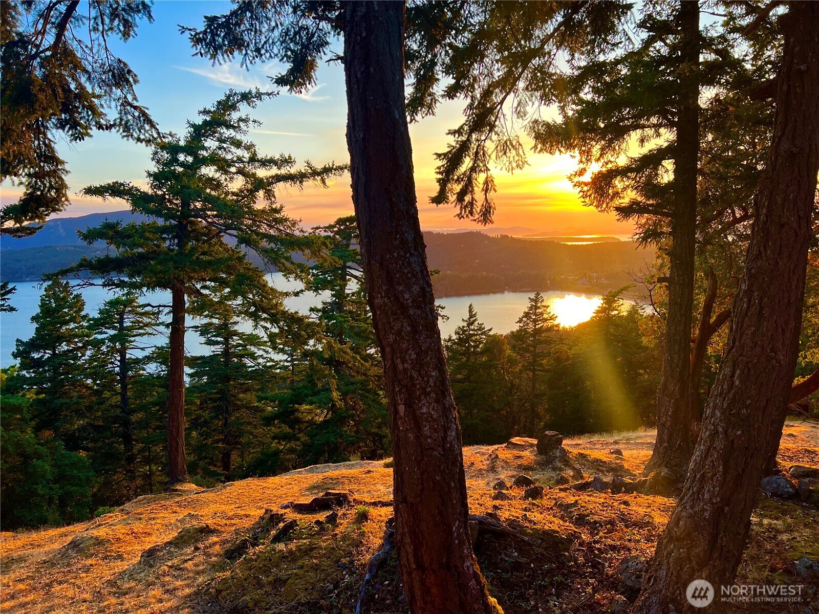 64 Hammond Lane Orcas Island, WA 98245 - Photo 1 of 39 a view of a yard in the snow