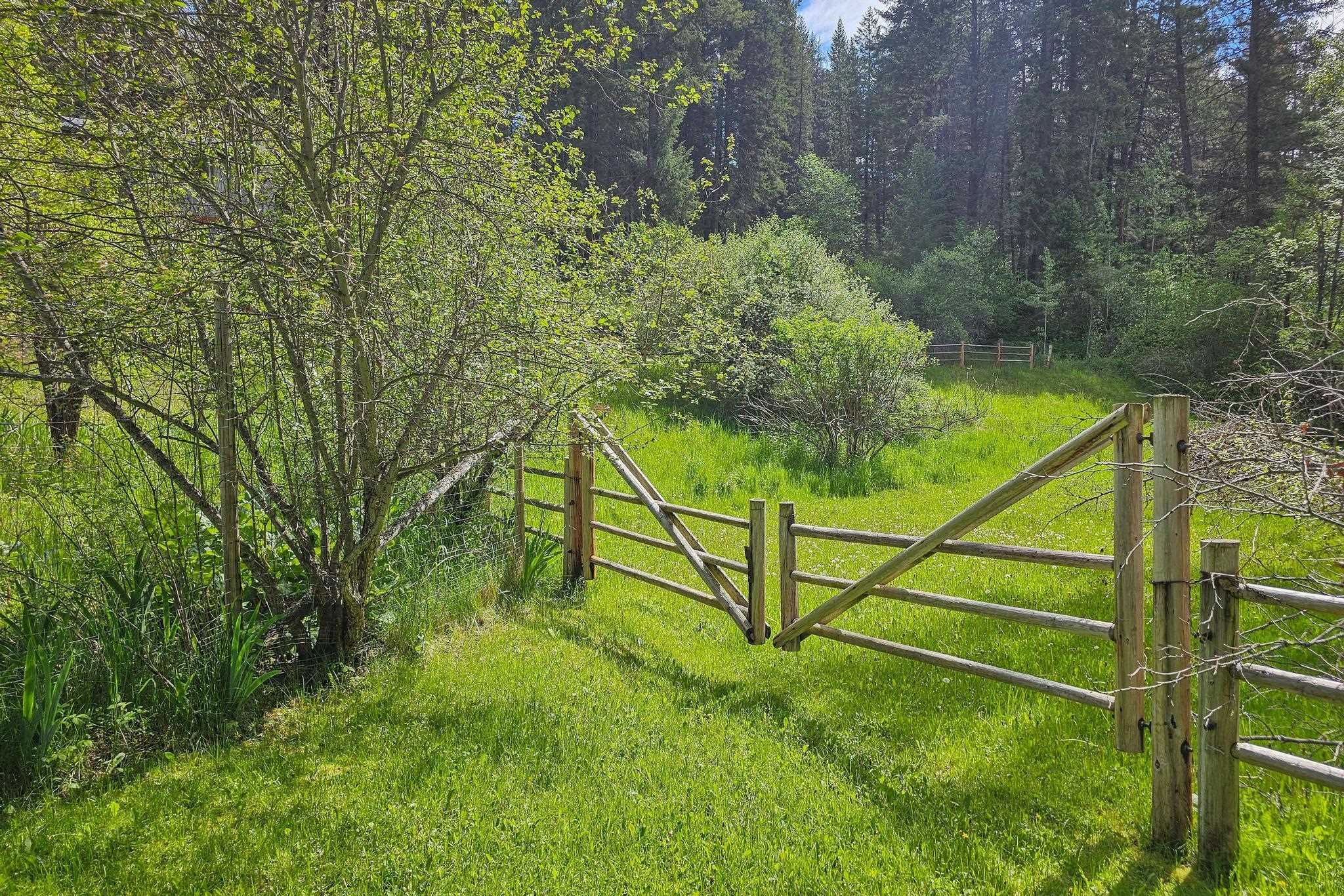940 Aladdin Road Colville, WA 99114 - Photo 3 of 34