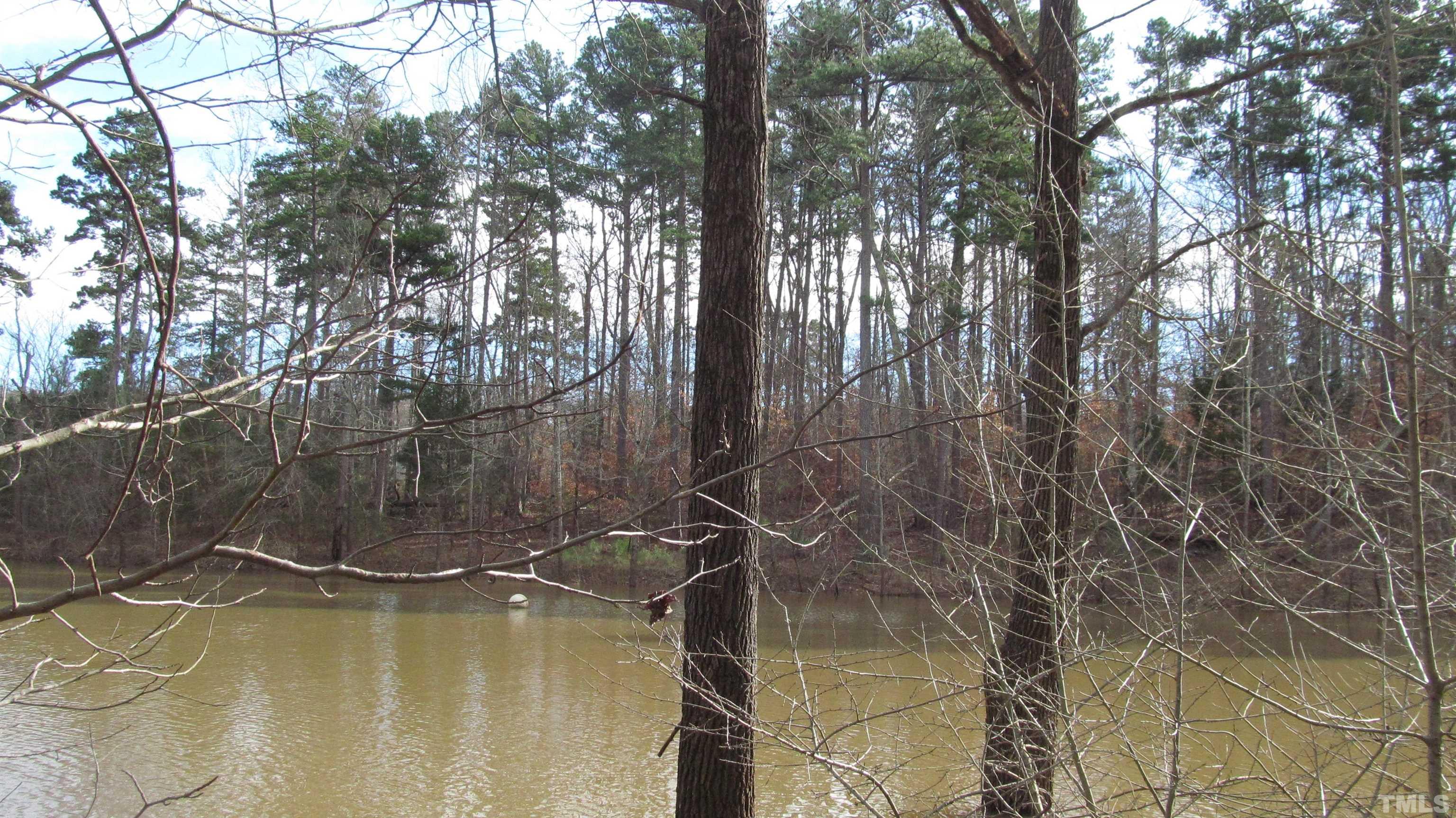 Lot 50 Lewis Road Clarksville, VA 23927 - Photo 2 of 24 Gallery Image 2