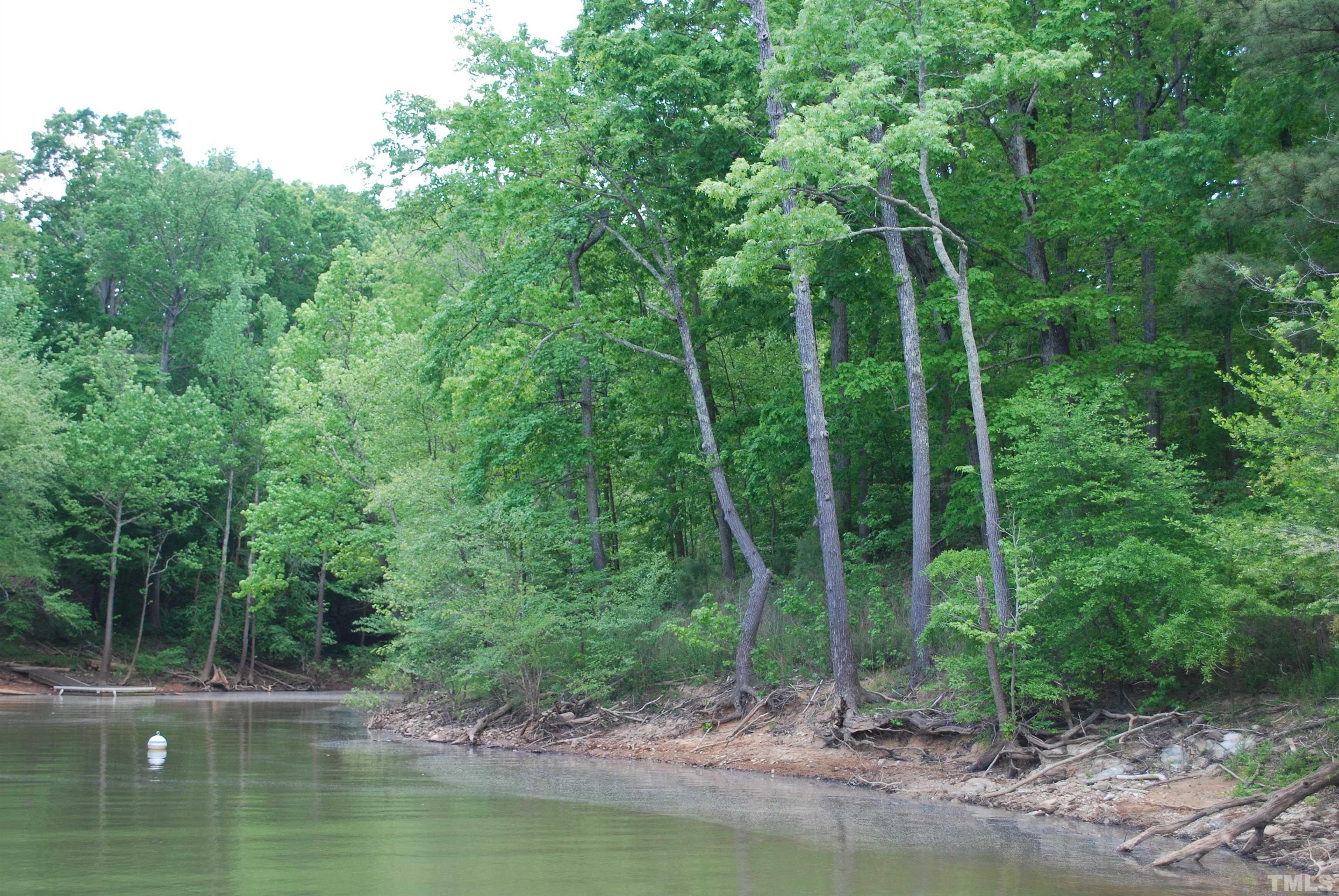 Lot 50 Lewis Road Clarksville, VA 23927 - Photo 4 of 24 Gallery Image 4