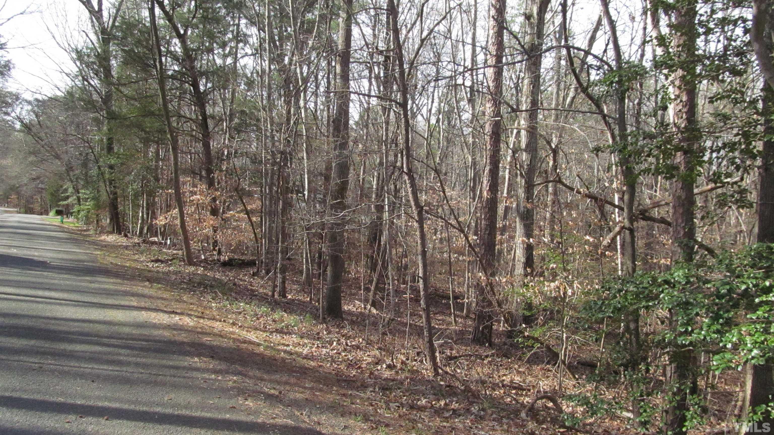 Lot 50 Lewis Road Clarksville, VA 23927 - Photo 5 of 24 Gallery Image 5