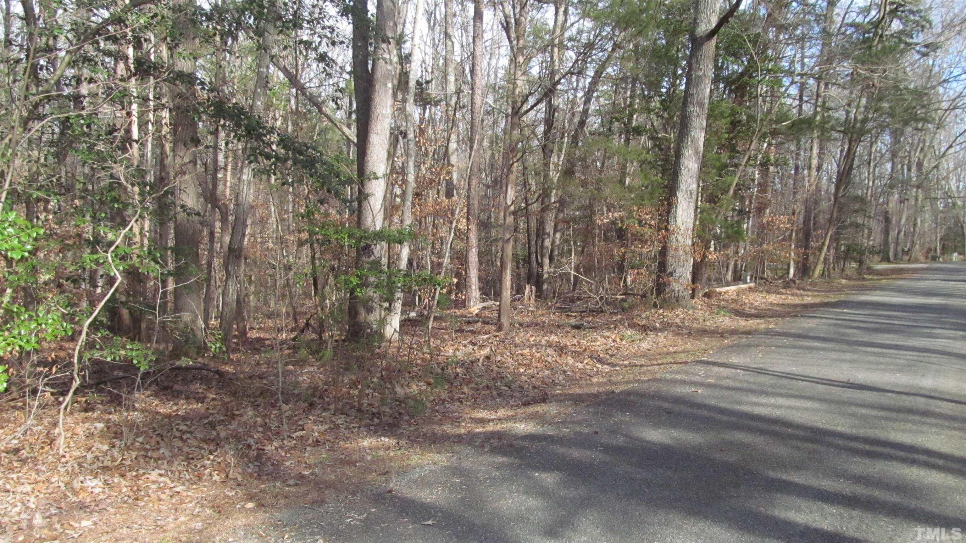 Lot 50 Lewis Road Clarksville, VA 23927 - Photo 10 of 24 Gallery Image 10