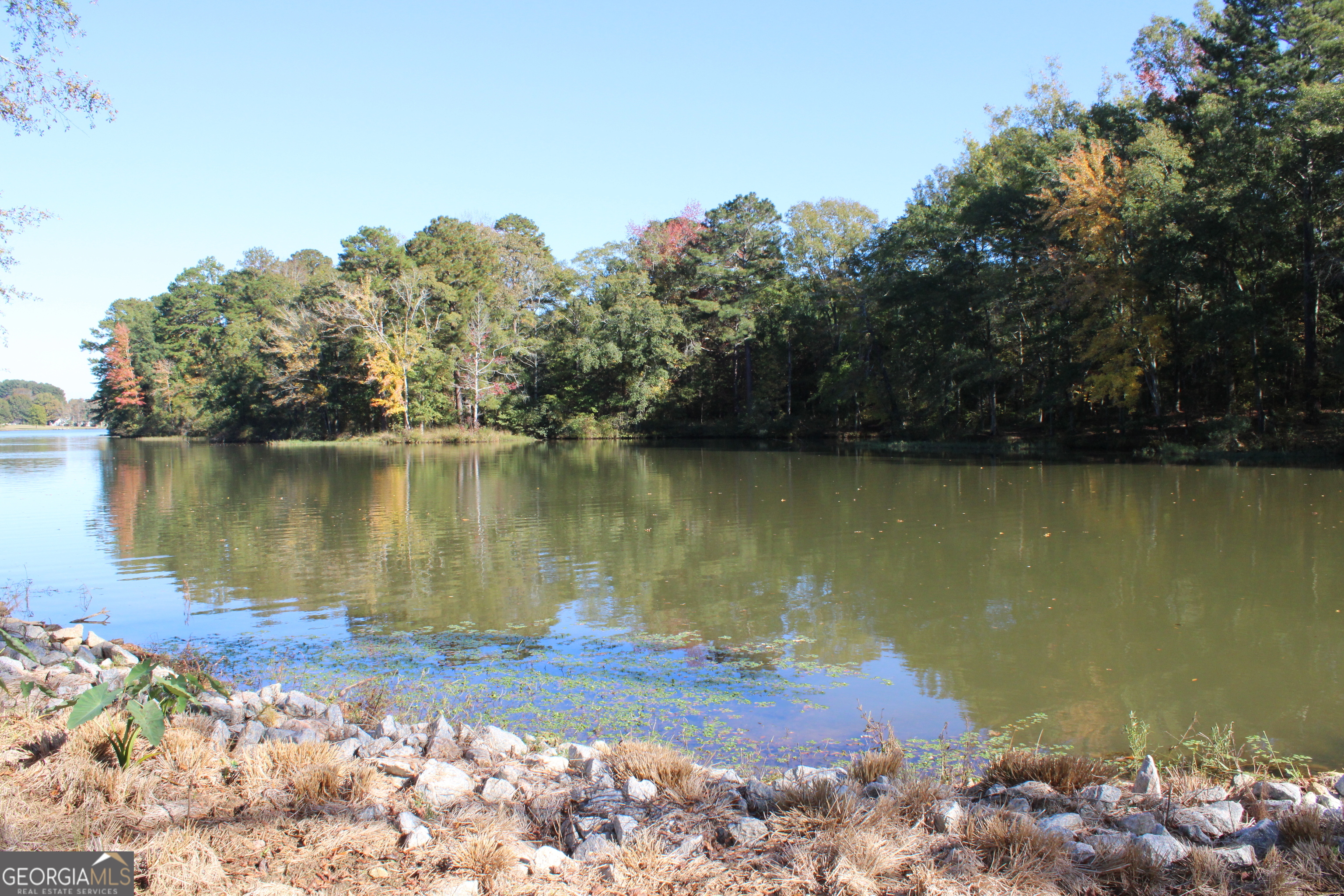1701 Blue Springs Road Buckhead, GA 30625 - Photo 2 of 24 a view of a lake with a yard