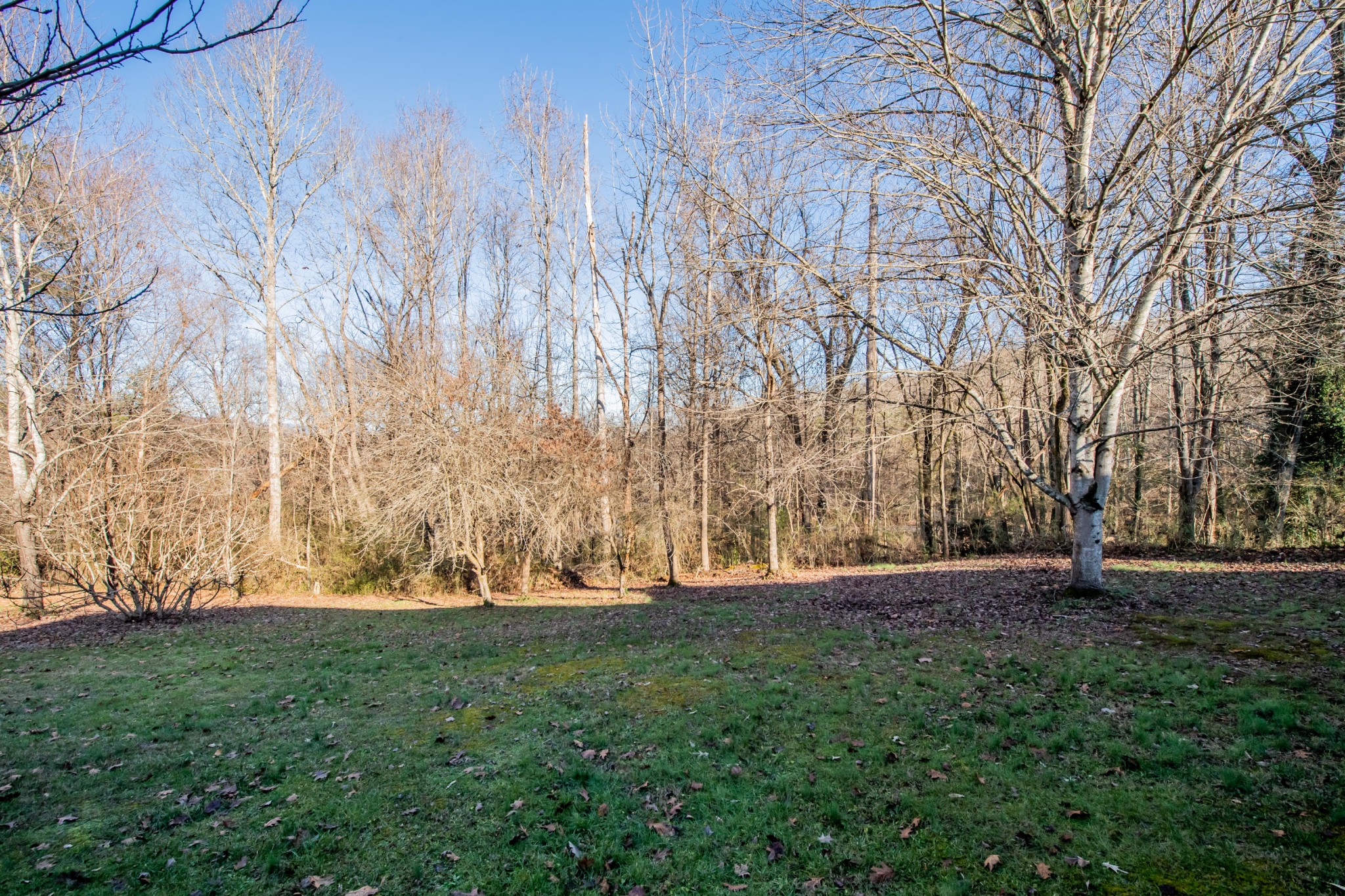 310 Mc Kinney Road Harriman, TN 37748 - Photo 10 of 15 Gallery Image 10