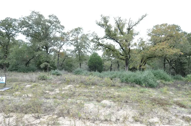 $210,000 | Tbd Tbd Oakview Lane, Thrall, TX 76578