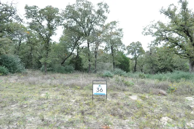 a view of a dry yard with trees