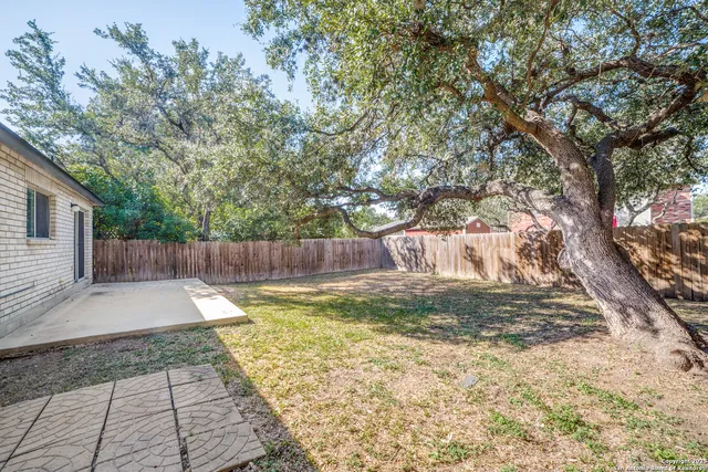 a view of a backyard with large tree