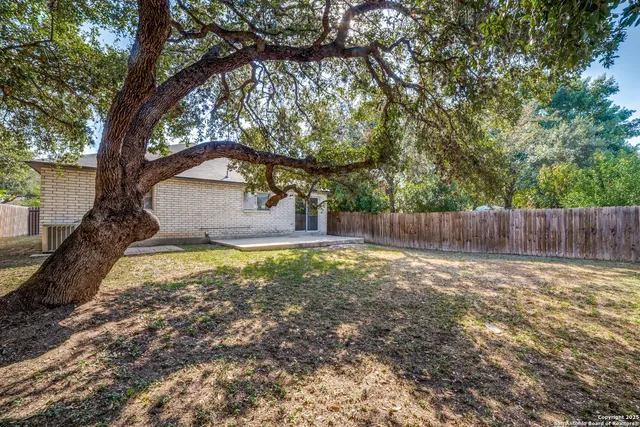 a view of a yard with a tree