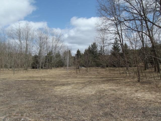 8447 Howes Road Copemish, MI 49625 - Photo 7 of 9 Additional Photo