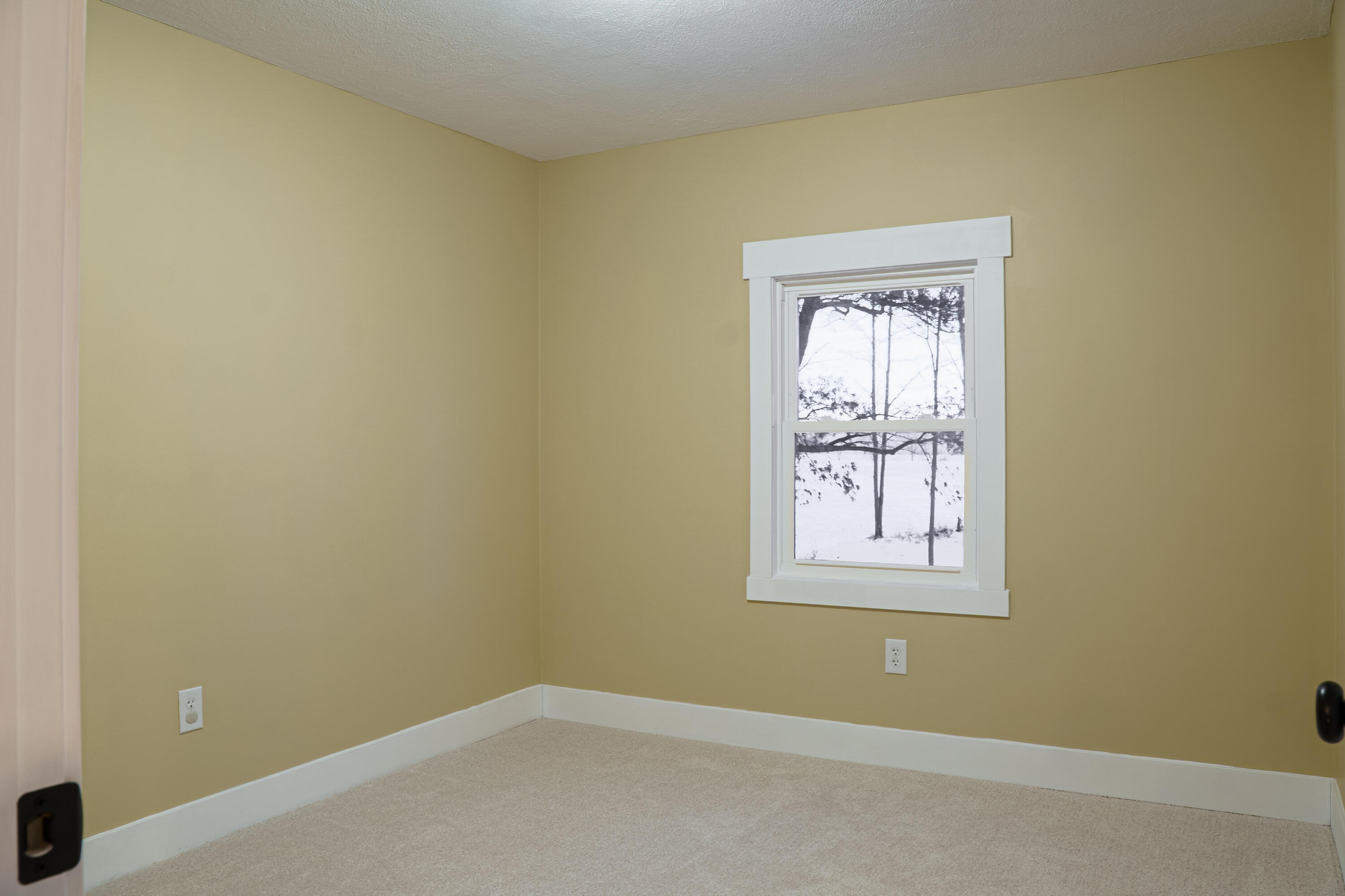 6005 North Messer Road Freeport, MI 49325 - Photo 11 of 31 freeport house-02