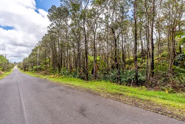 $40,000 | 11-3185 Lot 711 Alaula Street, Volcano, HI 96785