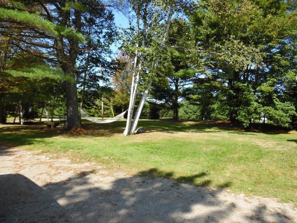 17 Black Road South Searsport, ME 04974 - Photo 2 of 22 Photo