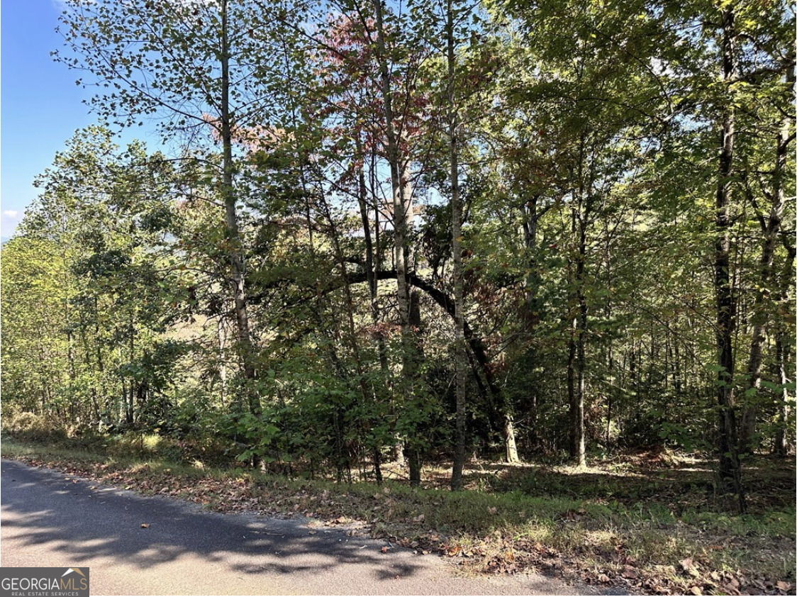 Lot 3 Ruby Ridge Young Harris, GA 30582 - Photo 2 of 3