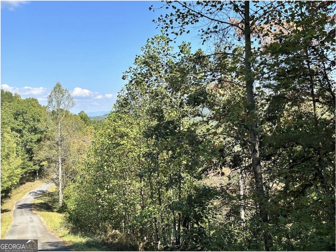 Lot 3 Ruby Ridge Young Harris, GA 30582 - Photo 3 of 3
