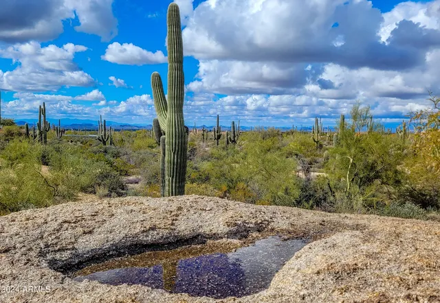 a view of a water fountain
