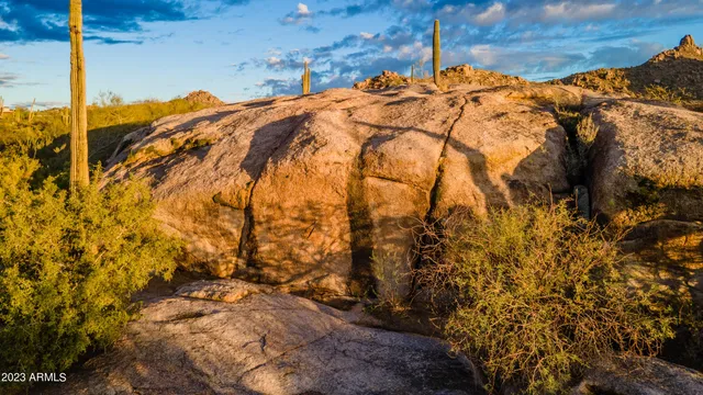 a view of a yard with plants and wooden fence
