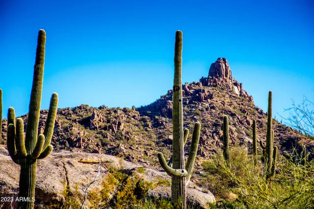 a view of a ocean with a tree in the background