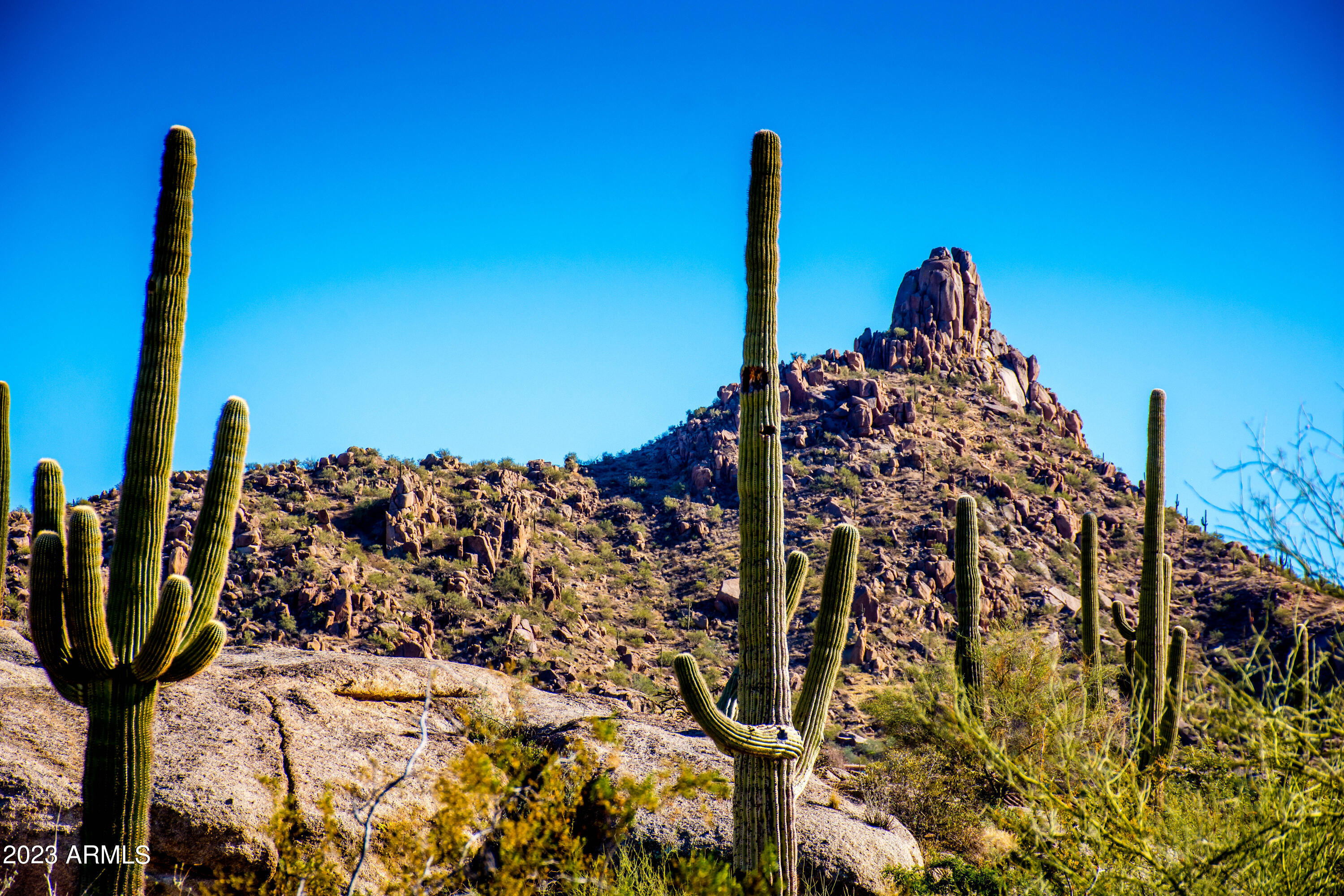 27777 North 95th Street, Unit 1 Scottsdale, AZ 85262 - Photo 2 of 68 a view of a ocean with a tree in the background