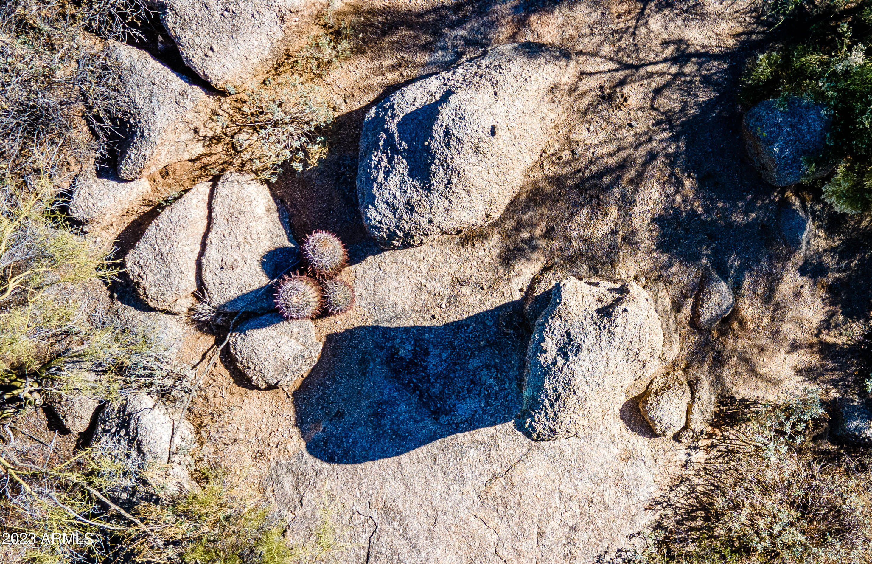 27777 North 95th Street, Unit 1 Scottsdale, AZ 85262 - Photo 34 of 68 a view of a tree
