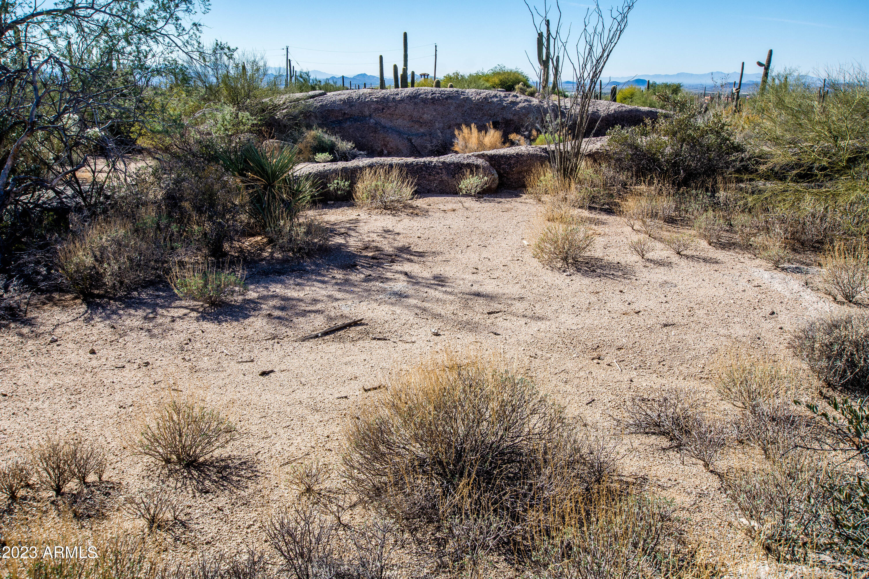 27777 North 95th Street, Unit 1 Scottsdale, AZ 85262 - Photo 40 of 68 a view of a dry yard with trees