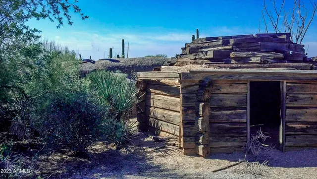 a view of a pathway with a tree