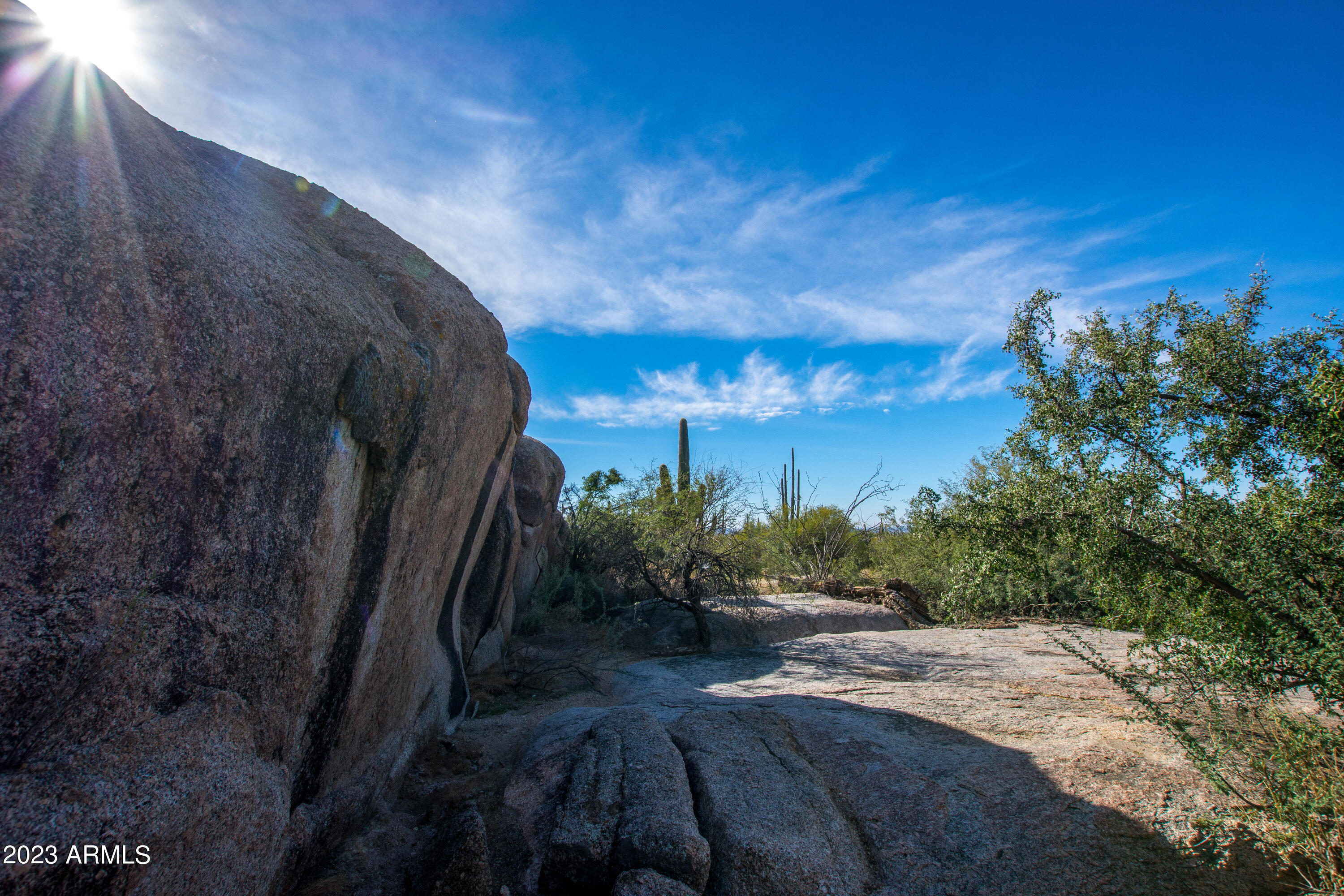 27777 North 95th Street, Unit 1 Scottsdale, AZ 85262 - Photo 44 of 68 a view of a backyard