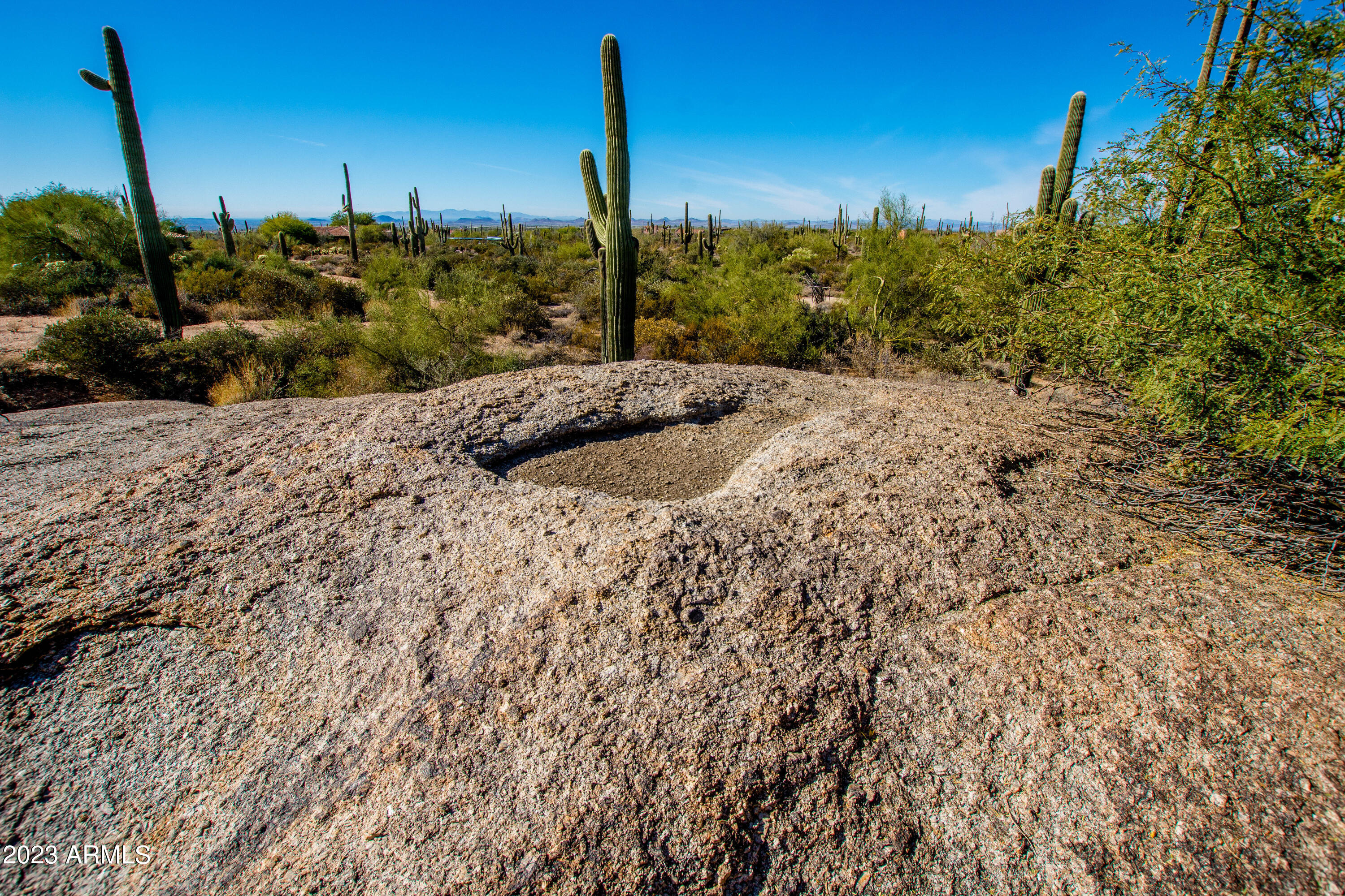 27777 North 95th Street, Unit 1 Scottsdale, AZ 85262 - Photo 48 of 68 a view of a dry yard with a tree