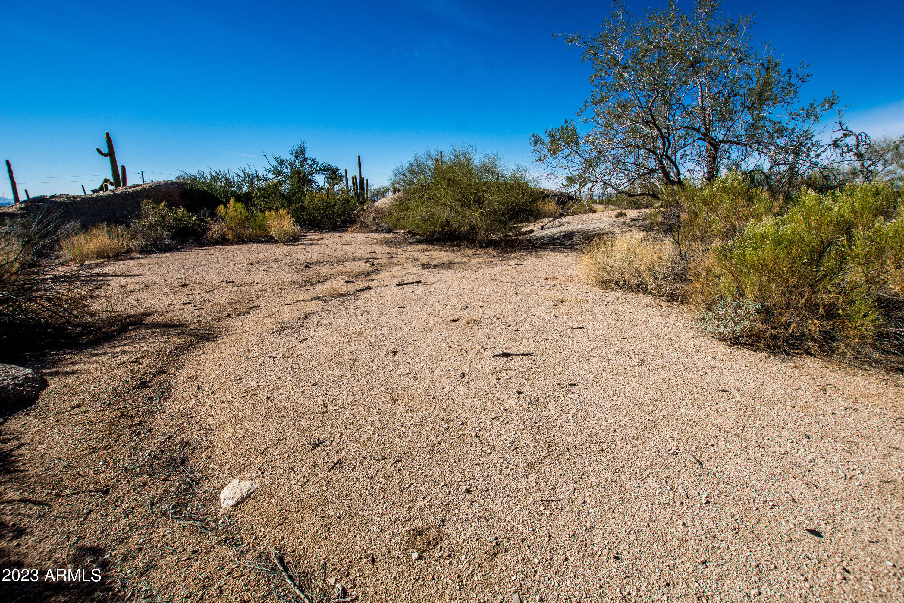 27777 North 95th Street, Unit 1 Scottsdale, AZ 85262 - Photo 50 of 68 a view of a dry yard with trees