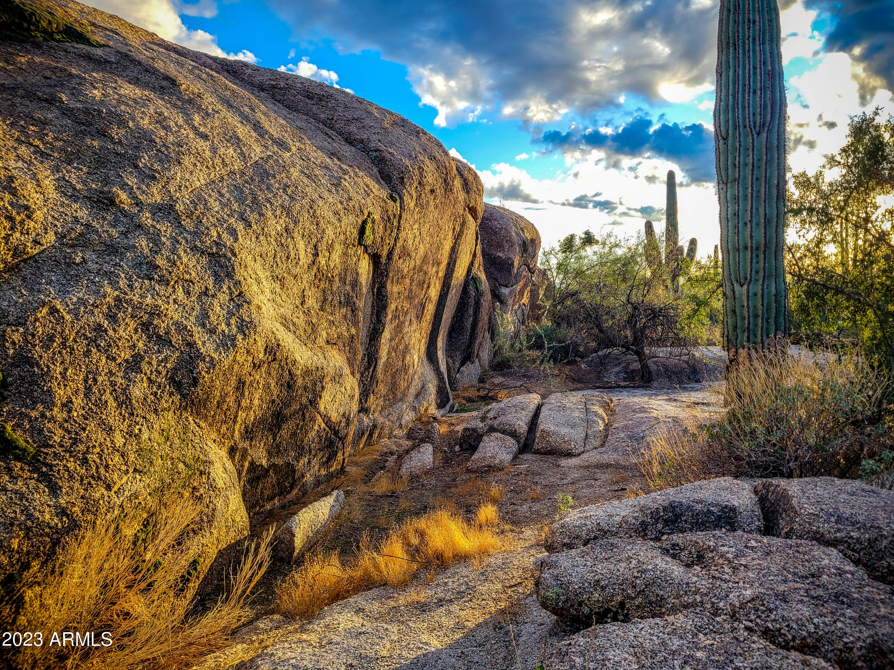 27777 North 95th Street, Unit 1 Scottsdale, AZ 85262 - Photo 5 of 68 a view of outdoor space and street view