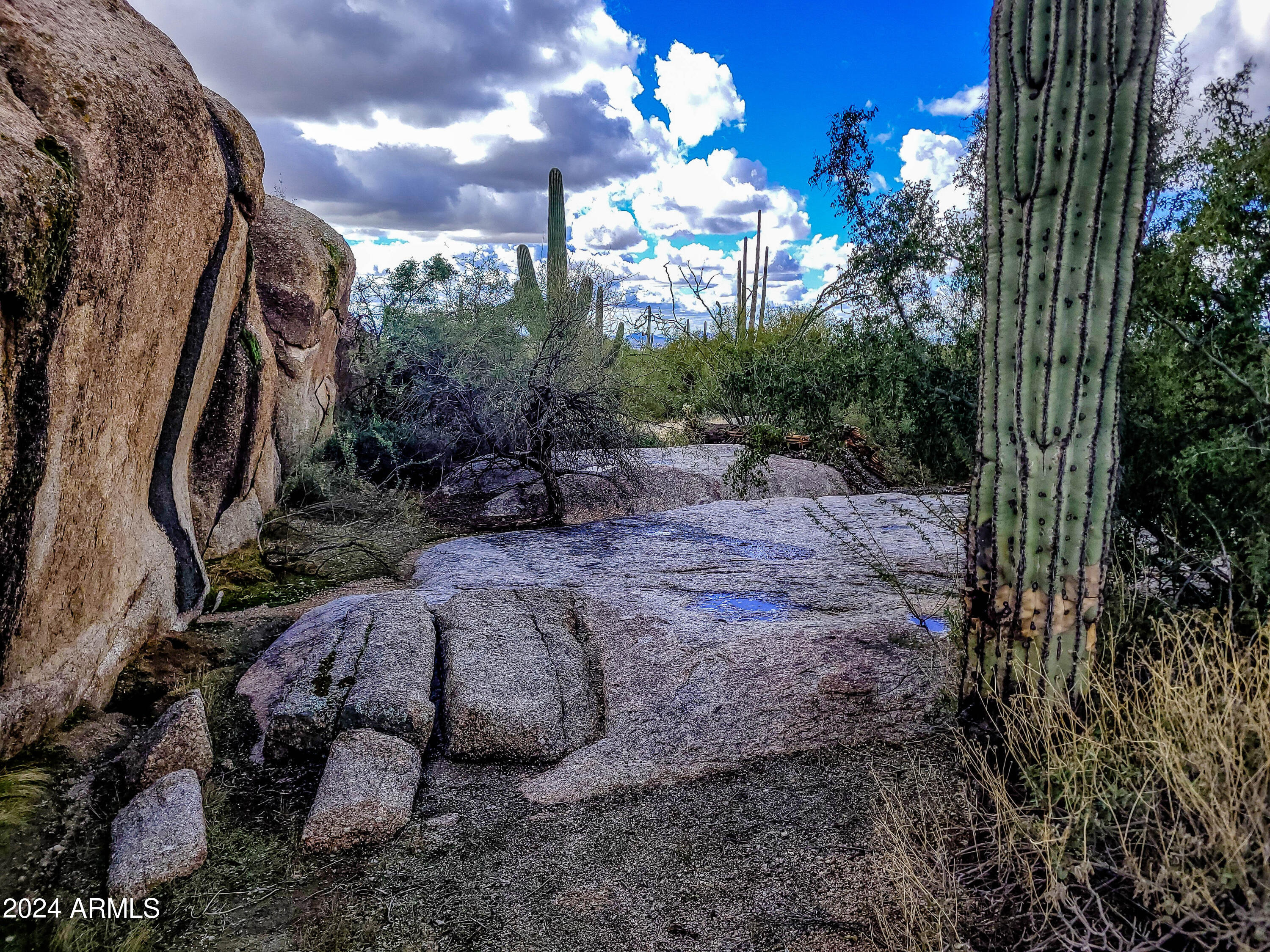 27777 North 95th Street, Unit 1 Scottsdale, AZ 85262 - Photo 58 of 68 a view of a pathway with a tree