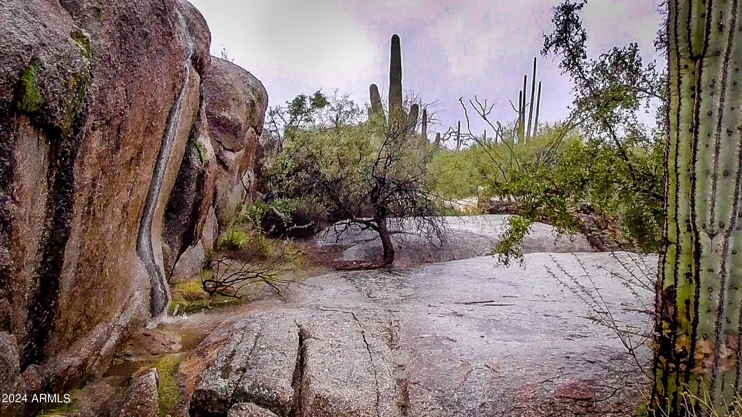 27777 North 95th Street, Unit 1 Scottsdale, AZ 85262 - Photo 62 of 68 rainy weather at the grotto
