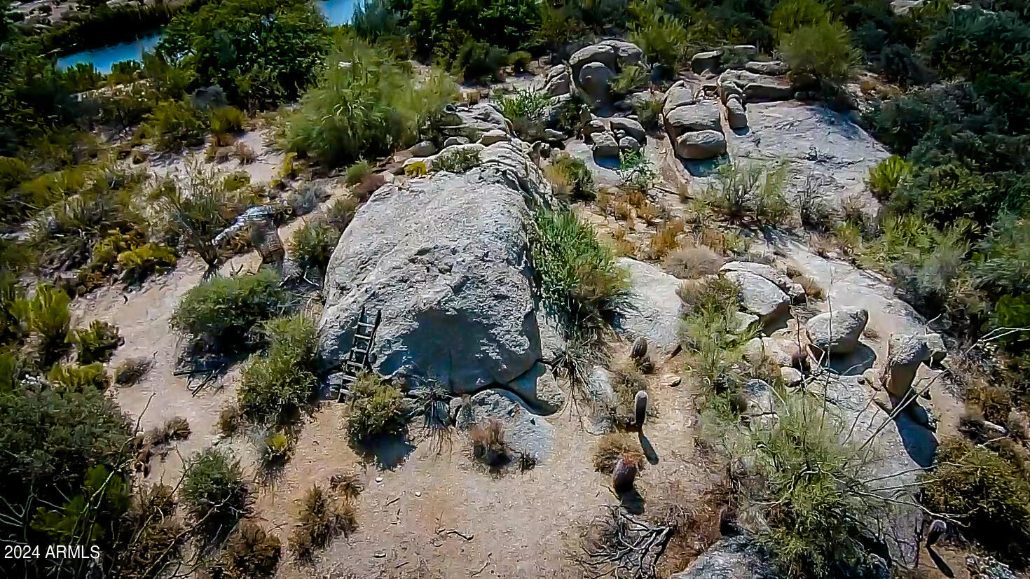 27777 North 95th Street, Unit 1 Scottsdale, AZ 85262 - Photo 65 of 68 a view of a forest with trees