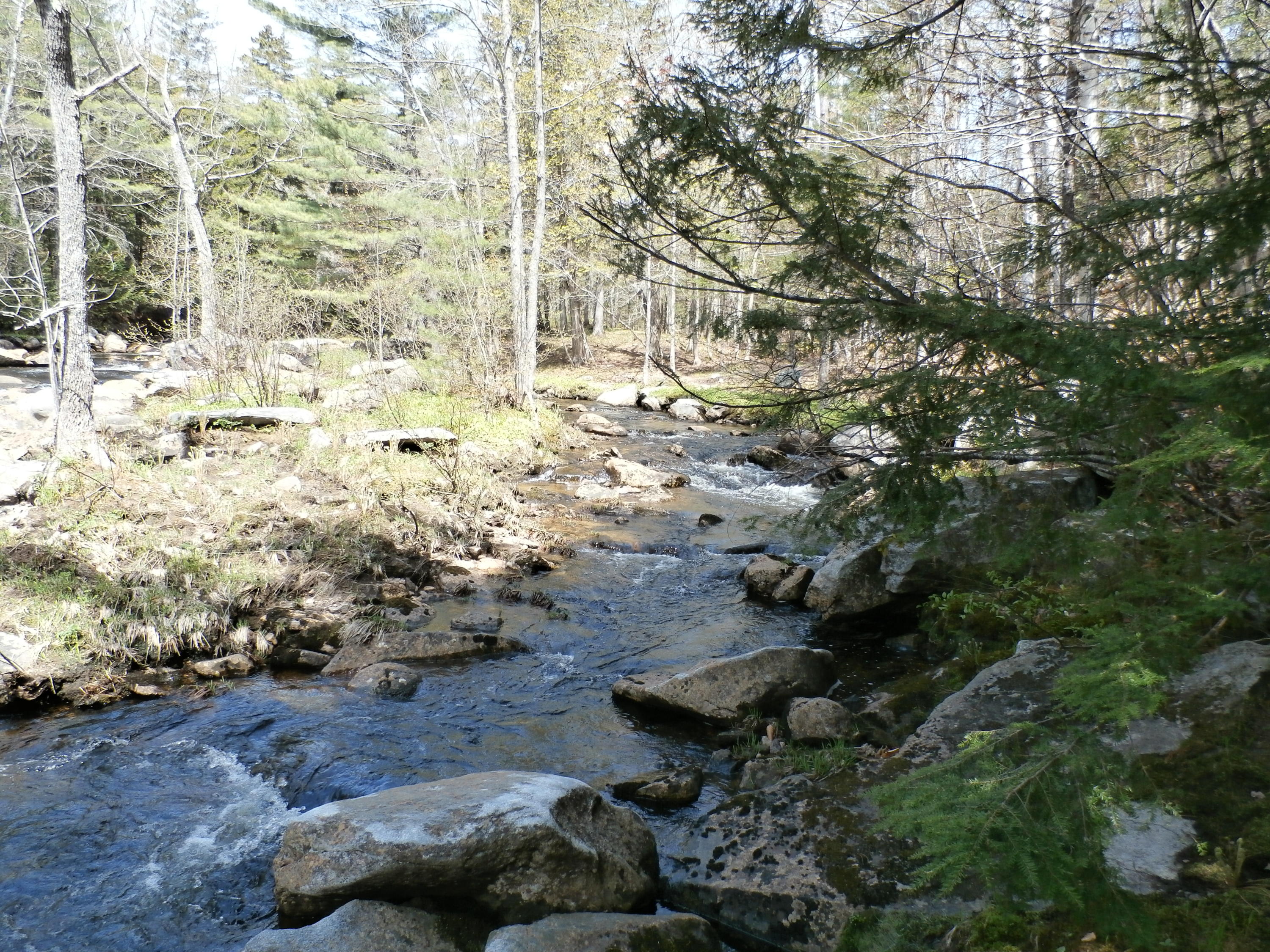 1021 South Arm Road Andover, ME 04216 - Photo 27 of 58 P5140867