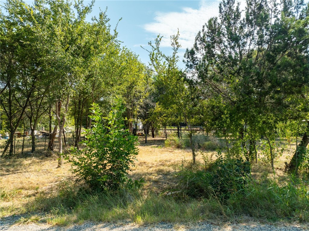 Tbd Grand Prairie Drive Whitney, TX 76692 - Photo 2 of 27