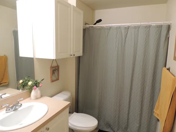 a bathroom with a sink a toilet and shower curtain