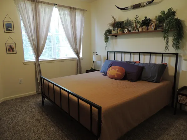 a bedroom with a bed and a window