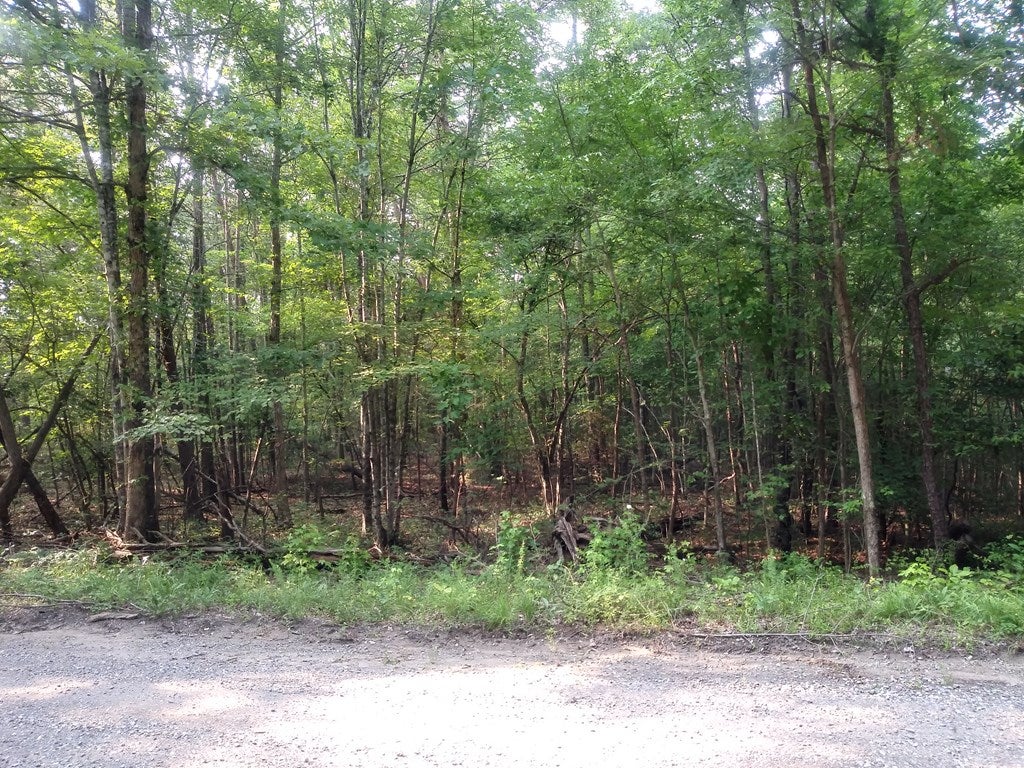 701 Atkins Road Farmville, VA 23901 - Photo 2 of 5 Gallery Image 2