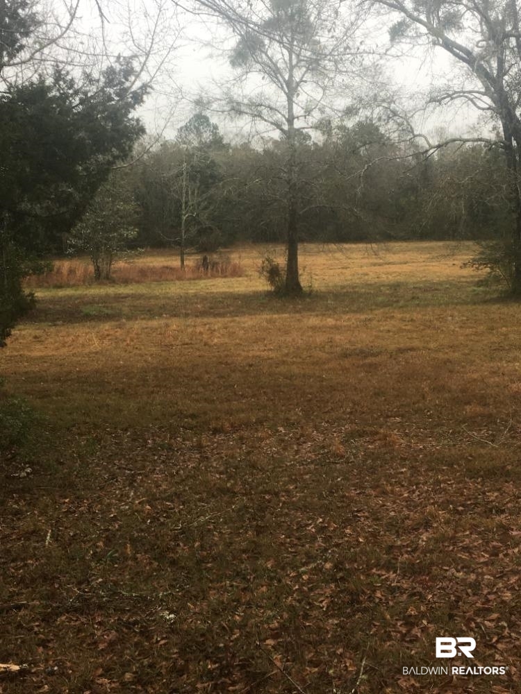 852 Hickory Street Florala, AL 36442 - Photo 6 of 11