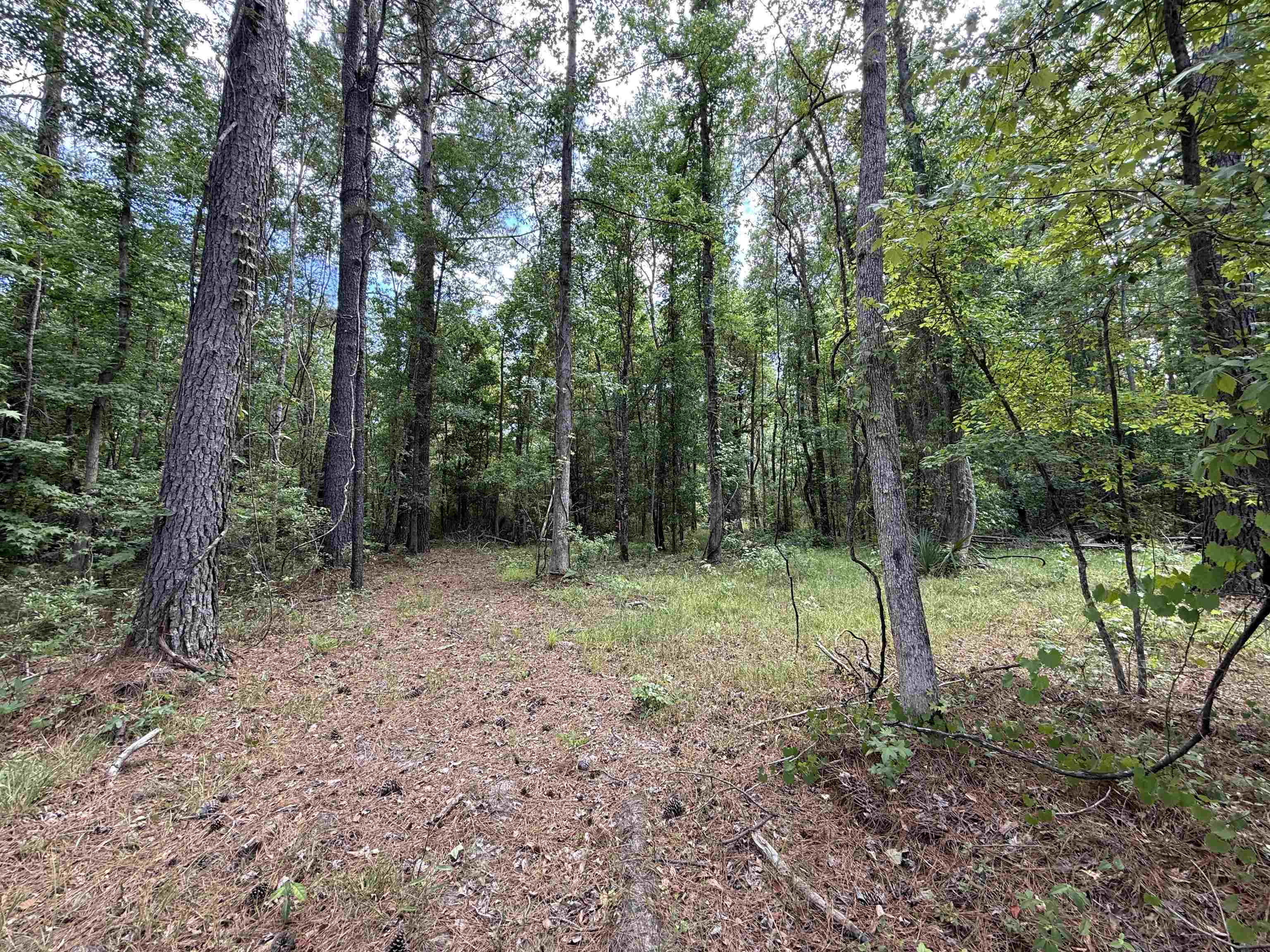 5871 Pennyroyal Road Georgetown, SC 29440 - Photo 2 of 15
