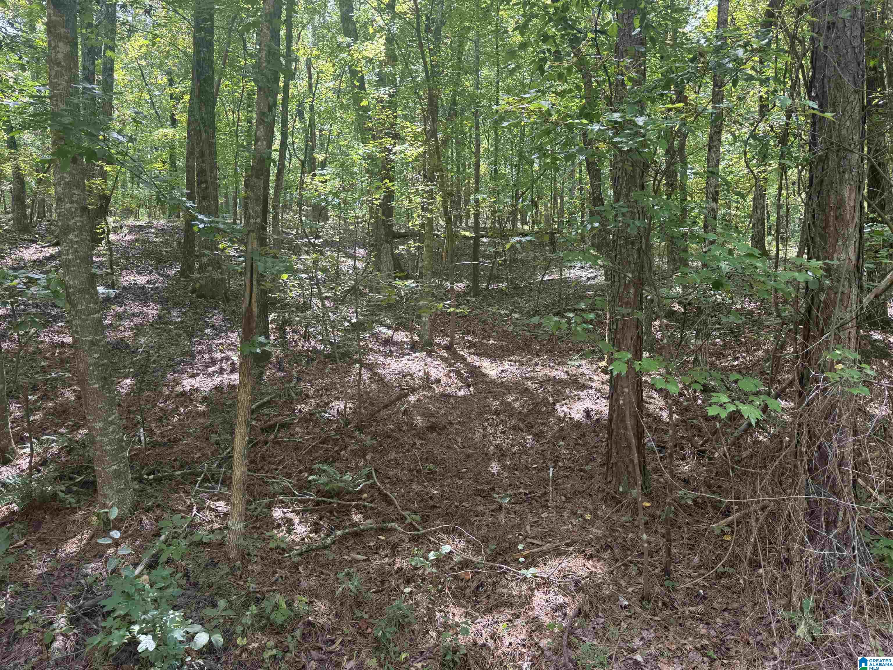 85 Mohawk Court, Unit 22 Ohatchee, AL 36271 - Photo 14 of 37