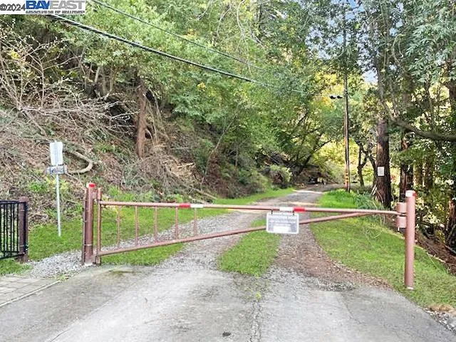 a view of a park with large trees