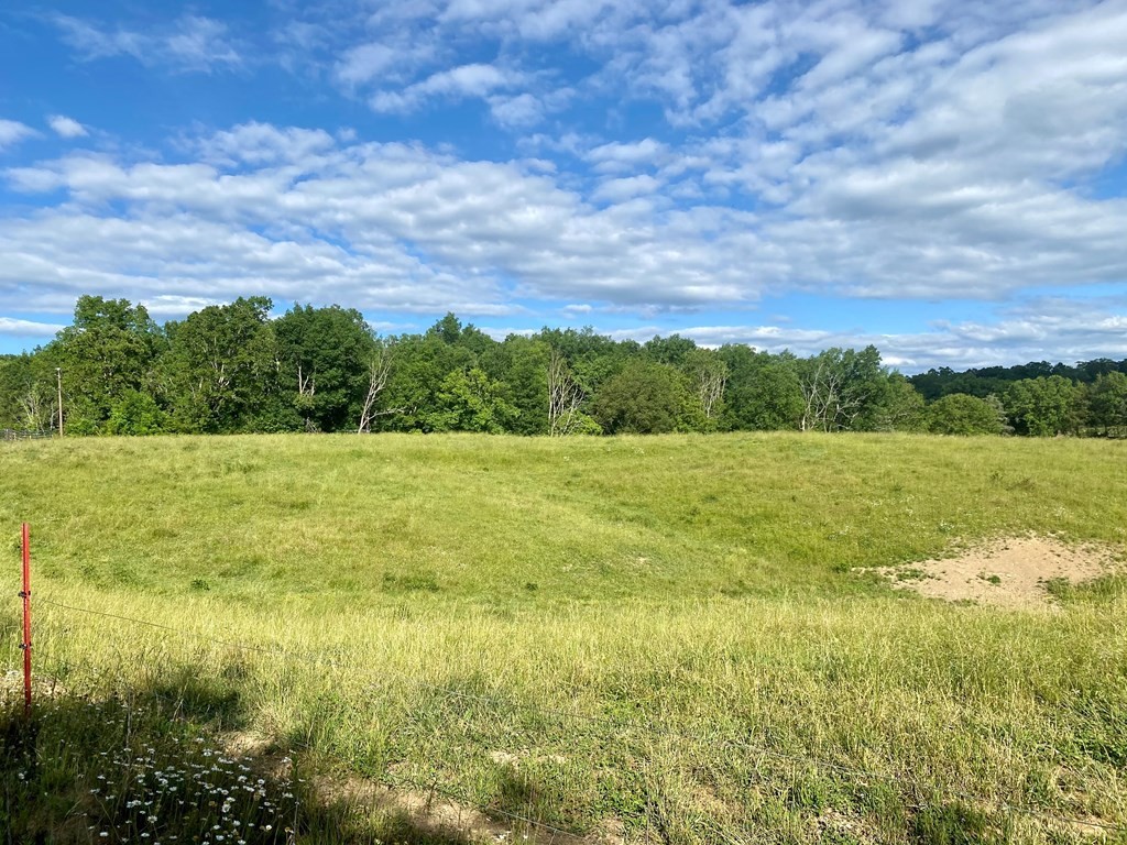 0 Walnut Grove Road Sevierville, TN 37876 - Photo 10 of 21