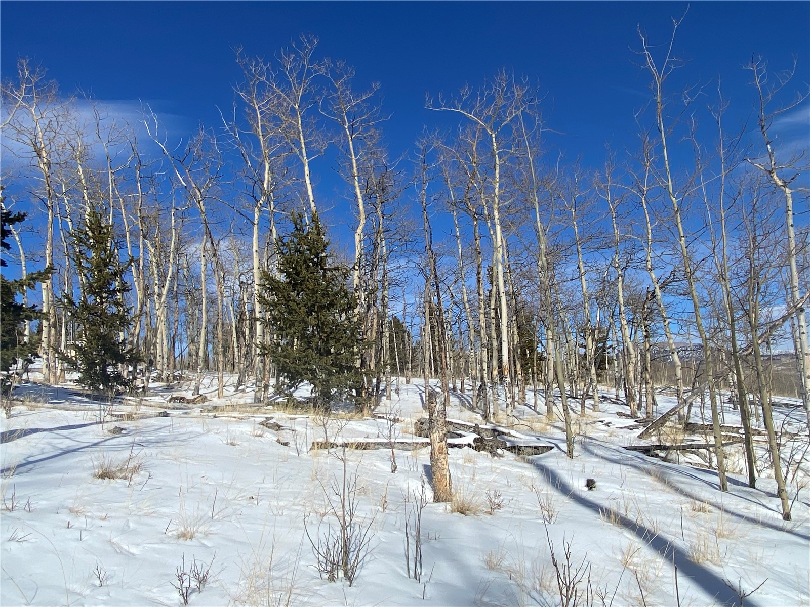 893 Lumberjack Road Fairplay, CO 80440 - Photo 13 of 34 Gallery Image 13