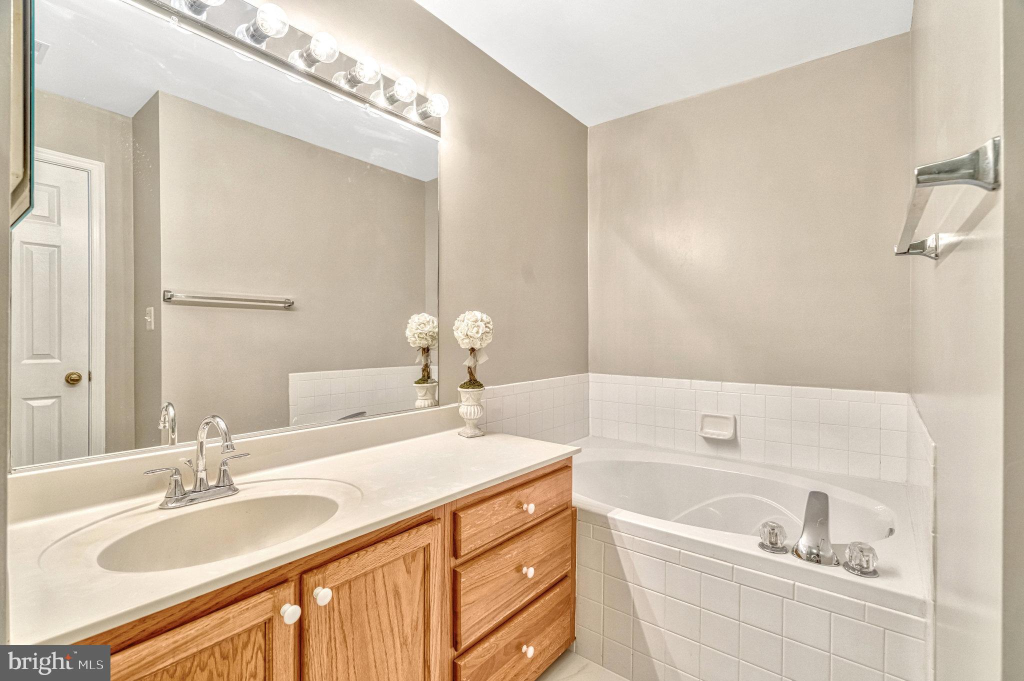 20870 Rockingham Terrace Sterling, VA 20165 - Photo 44 of 49 Master Bedroom with Bathtub