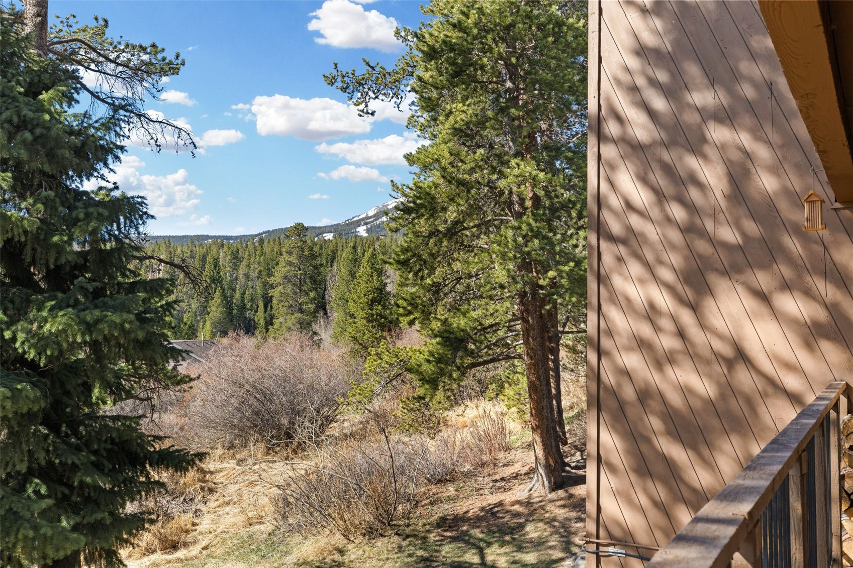 875 4 O Clock Road, Unit D3 Breckenridge, CO 80424 - Photo 28 of 45